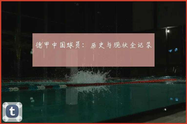 德甲中国球员:历史与现状全记录