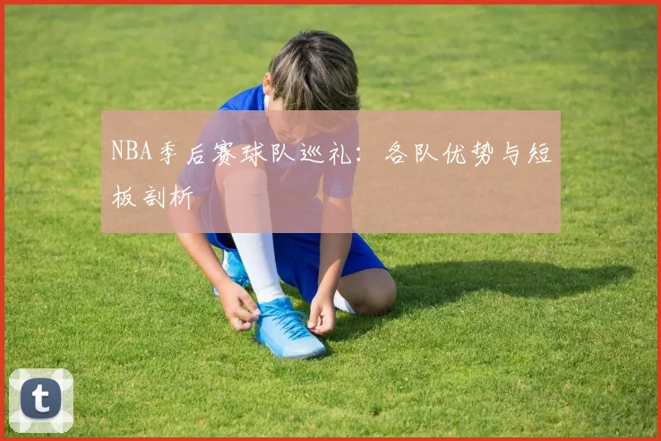 NBA季后赛球队巡礼：各队优势与短板剖析