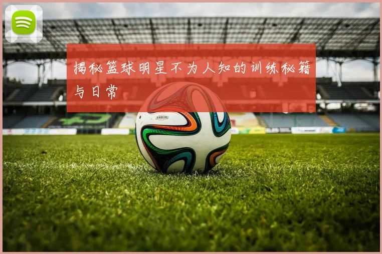 揭秘篮球明星不为人知的训练秘籍与日常