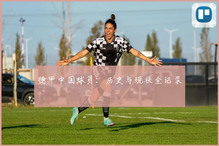 德甲中国球员:历史与现状全记录