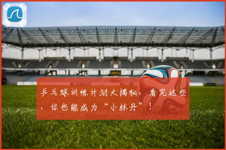 乒乓球训练计划大揭秘,看完这些,你也能成为“小林丹”!
