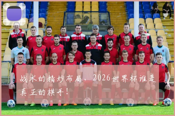 战术的精妙布局,2026世界杯谁是真正的棋手!