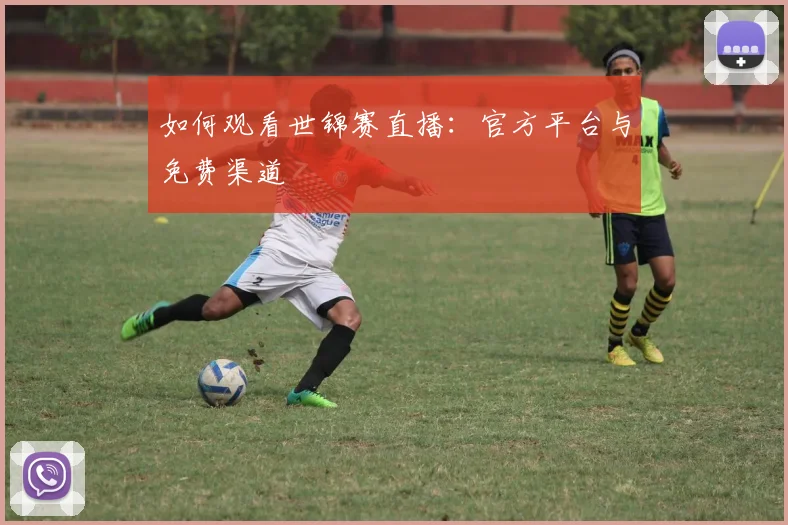 如何观看世锦赛直播:官方平台与免费渠道